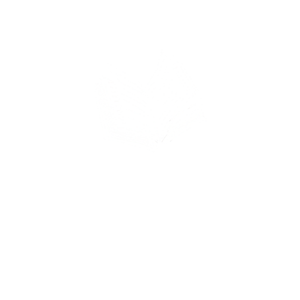 Beyondtheshelf